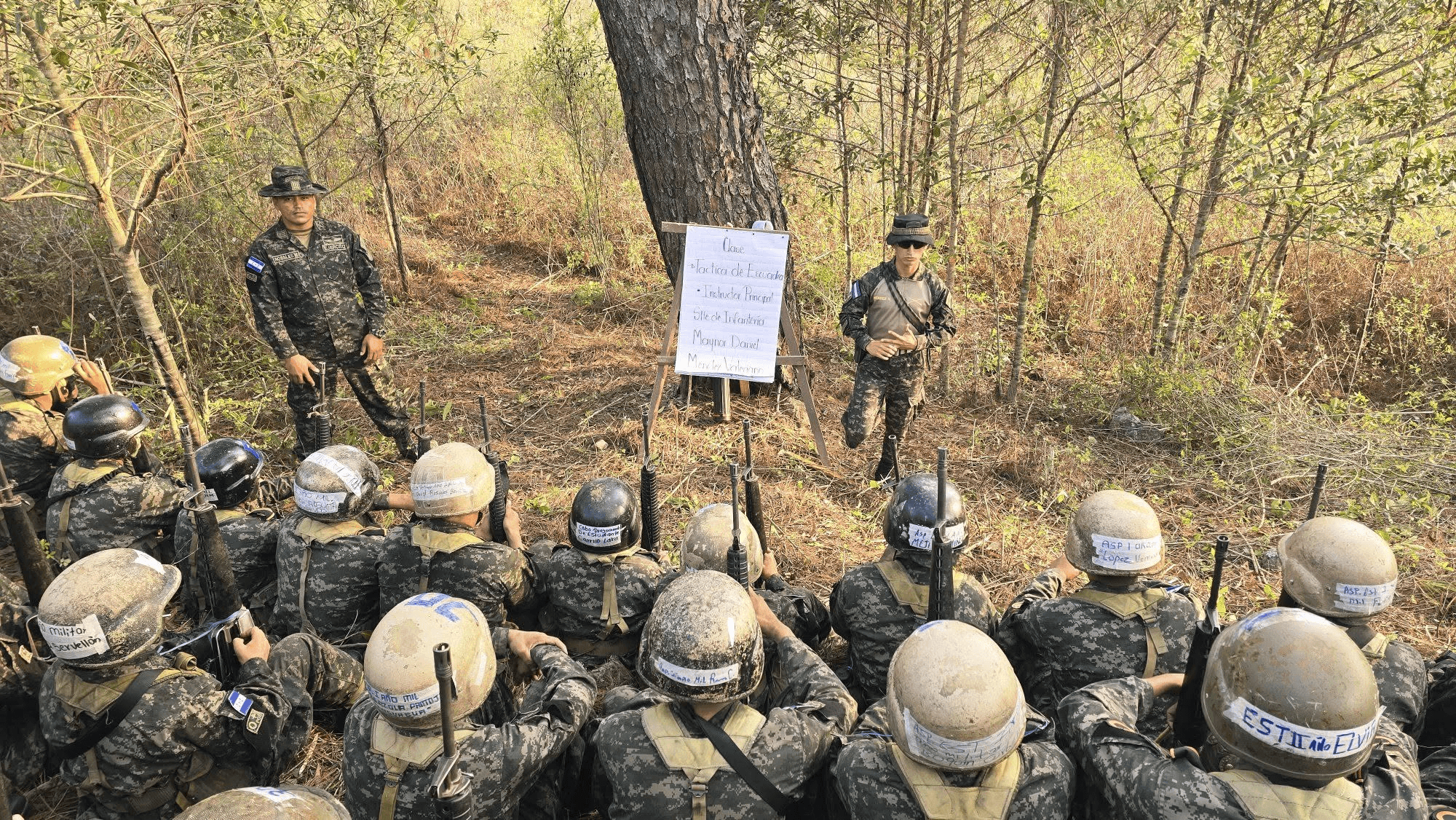Instrucción y práctica de campo